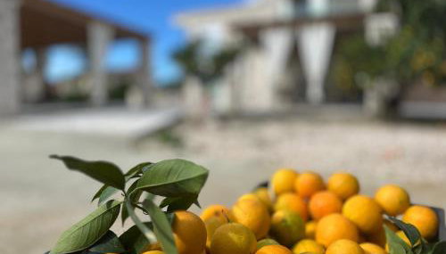 Rafaelia Premium villa with private pool in Drepano - Foto 5