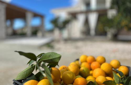 Rafaelia Premium villa with private pool in Drepano - Foto 5