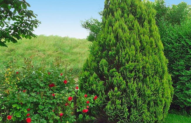 Ferienhaus, Friederikensiel - Foto 16