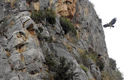 Casita de Noah by Apartamentos Arnedillo - Foto 22