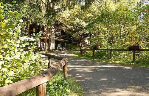 Chalet in Reinskopf with Fireplace & Balcony - Foto 15