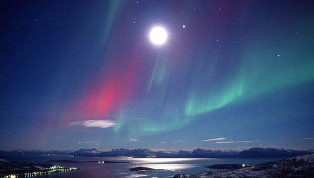 Northern Lights Safari from Bodo - Foto 4