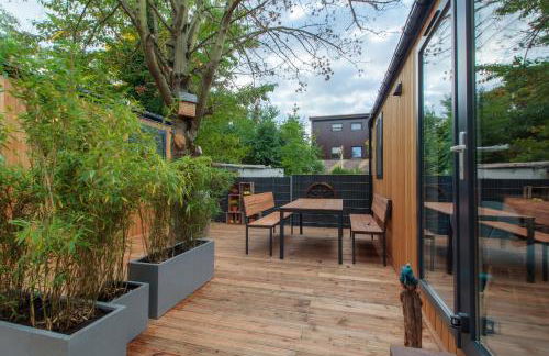 Iguana - Das Tiny Haus am Reptilienzoo Reptilium - Foto 1