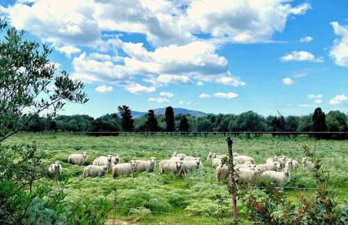 Villa Azurella Il Paradiso è qui - Foto 17