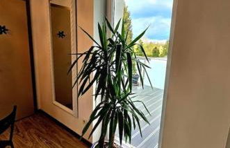 Pension Sommerknospe - Foto 12