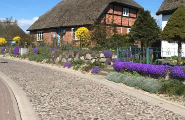 Ferienwohnung auf Rügen mit Boddenblick - Foto 62