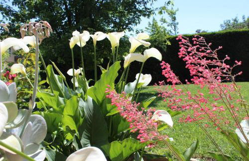 Mari’s House - Foto 16