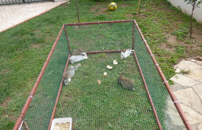 Avlu 4 Apart Hotel - Photo 32