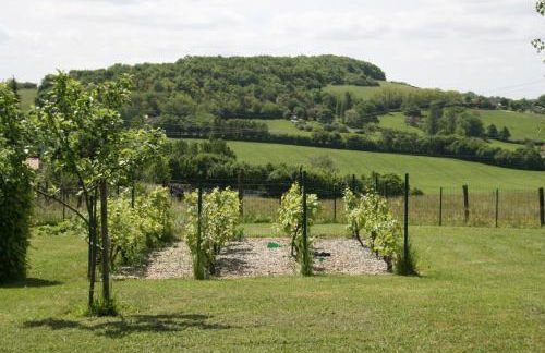 1 Bedroom House 20min walk to centre in Tournus - Foto 20