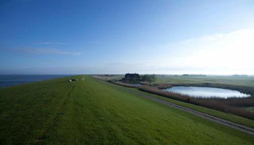 Tede Warft Freistehend am Deich mit Sauna - Foto 3