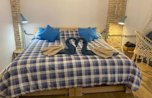 Ruzafa experience Oceanografic ciencias - Photo 7