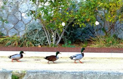 Apartamento colgante al río con vistas al puente - Photo 25