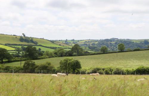 Under Oak Pod - Photo 38