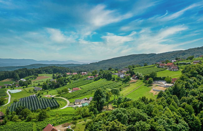 Vineyard Cottage Radovlja With Sauna - Foto 29