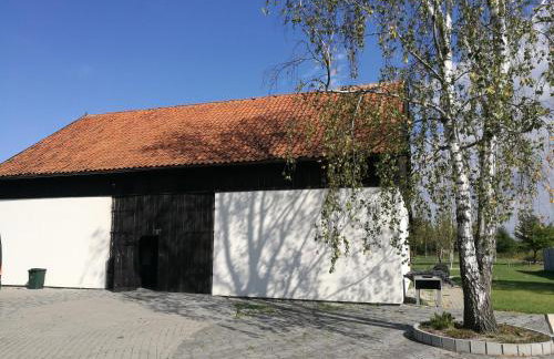 Jarzębinowy Agroturystyka - Foto 28