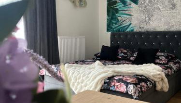 Apartament Nova Klonova - Foto 2