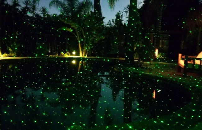 Coral Tree House - Foto 25