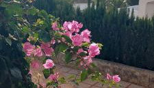 Apartamento en Moraira con piscina 100 m de la playa - Foto 2