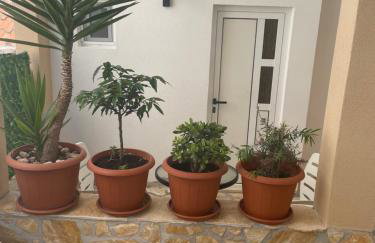 Apartmani Borex - Foto 5