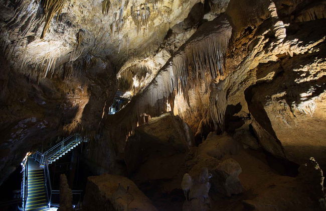 Excursion dans la vallée de Huon et aux grottes d'Hastings - Photo 1