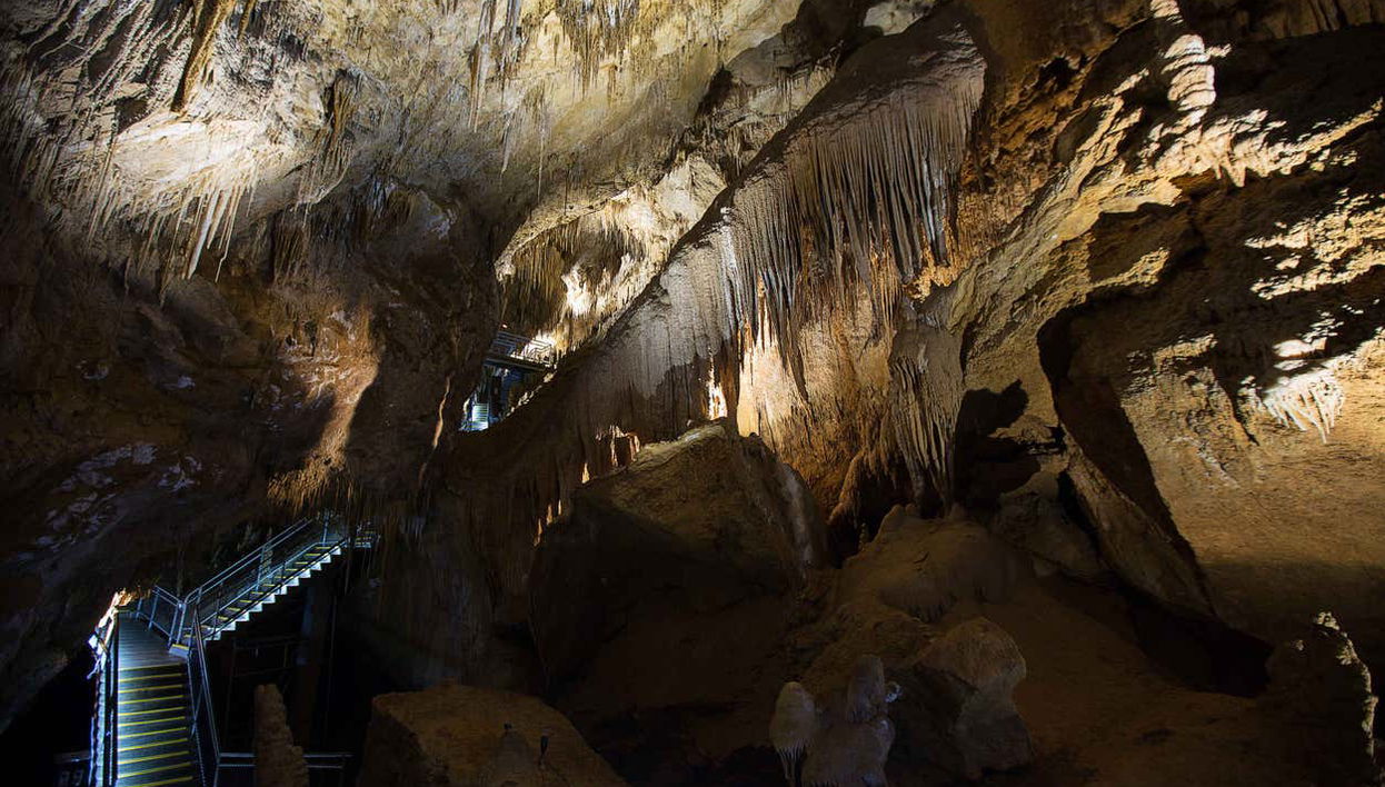 Excursion dans la vallée de Huon et aux grottes d'Hastings - Photo 1