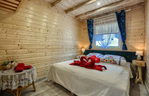 Księżycowe Domki w Bieszczadach - Foto 4