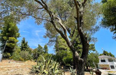 Aspioti Villas - Foto 16