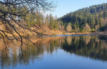 Ferienwohnung Nani - Foto 14