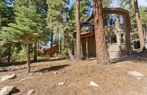 The Speckled Gem - Foto 31