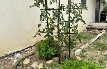 Casa Lamaghjone - Villa T4 avec piscine chauffée à 3,5km de la mer - Foto 43