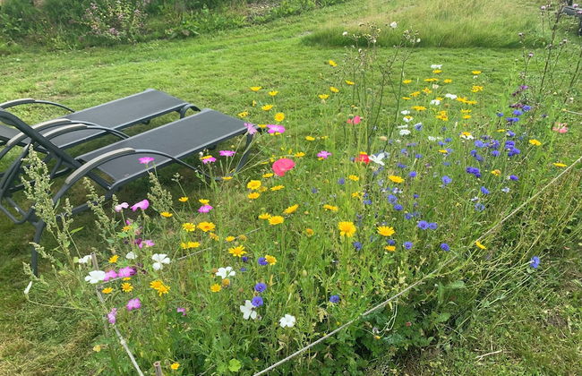 Apartment with access to pool and sauna - Foto 24