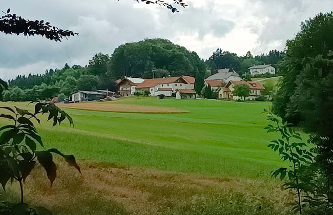 Balcony Views & Forest Calm - Photo 26