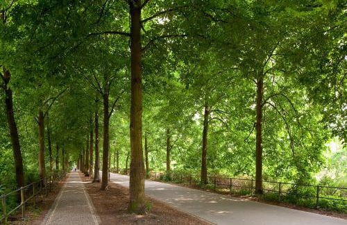 Travel Apartments - Foto 13