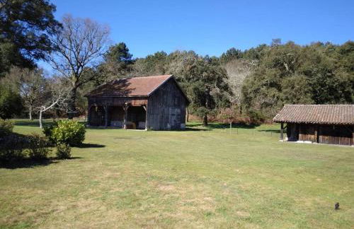 LE PETIT FROUAS NORD - Foto 10