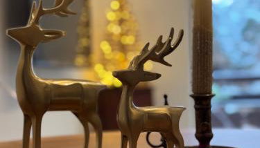 Ciasa Saslonch Apartment - Foto 4