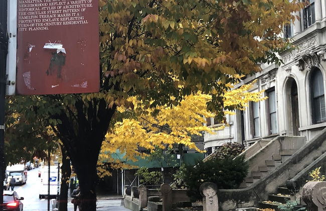 Hamilton Suites - Foto 8