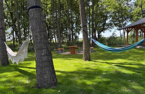 Domki Pod Olchowym Dachem Lubie - Foto 8