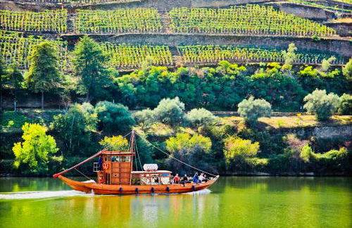 Solar Do Douro - Foto 34