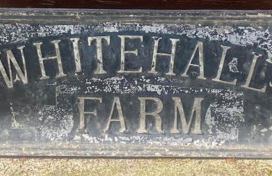 Whitehall Farm - Photo 27
