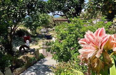 Vlami's House Andros - Foto 11