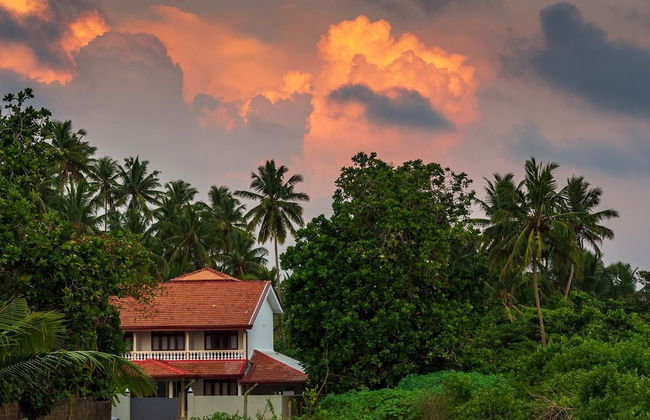 Turtle paradise villa & restaurant - Foto 15