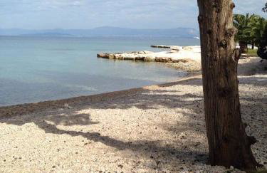 Originally Apartments Sonya - Foto 33