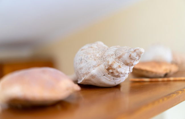 Sa Pedrera in Sa Rocca Tunda - Foto 21