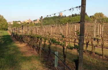 Agriturismo La Torretta da Valentina - Foto 48