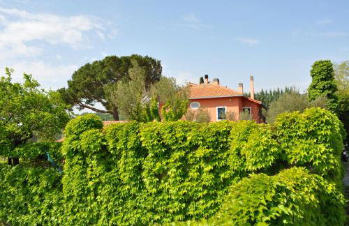 Ai Marucchi - Foto 8