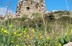 Summer hοuse - Foto 59