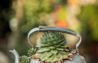 Agriturismo Beatilla - Photo 152