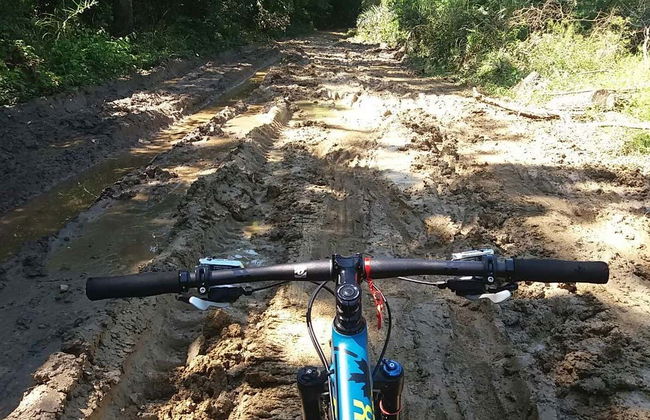 Bosque das Águas Bike Tour - Photo 4