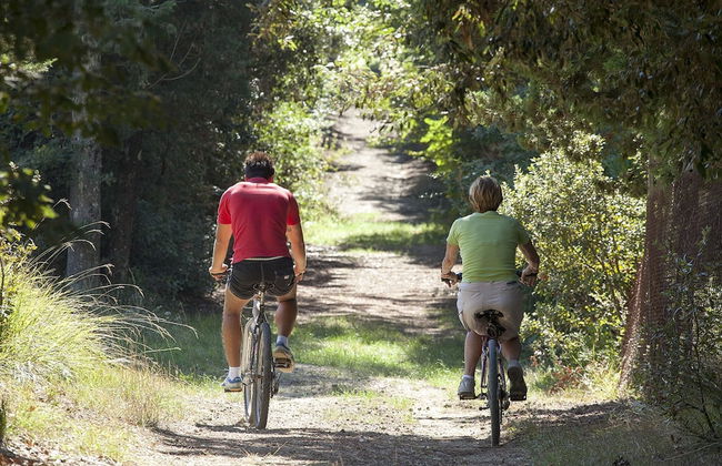 Farm House La Presura - Photo 54