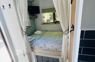 Romantic Shepherds Hut with Hot Tub in The Heart of Snowdonia - Foto 7